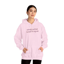 Load image into Gallery viewer, Nobody's Perfect (Except For My Cat) Hoodie
