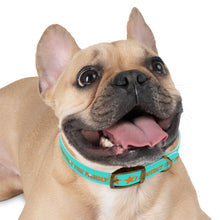 Load image into Gallery viewer, Protect The Family Dog Collar
