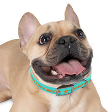 Load image into Gallery viewer, Protect The Family Dog Collar
